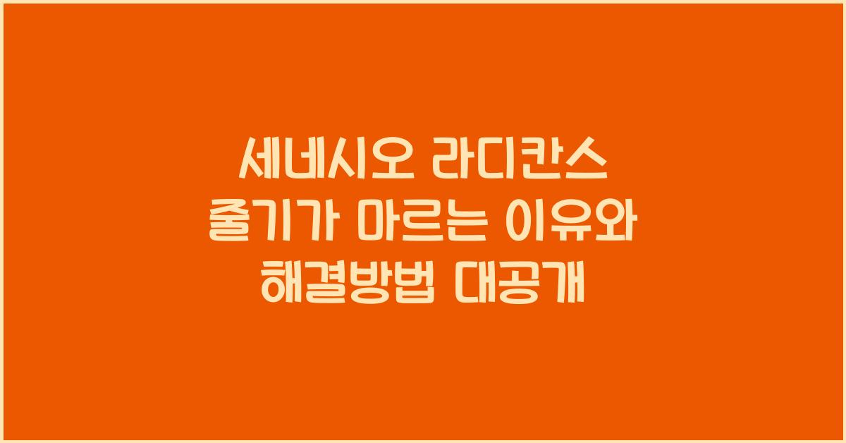 세네시오 라디칸스 줄기가 마르는 이유와 해결방법