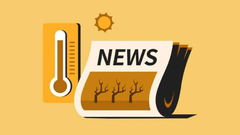 폭염보험 관련 이미지 < 출처:롯데 >