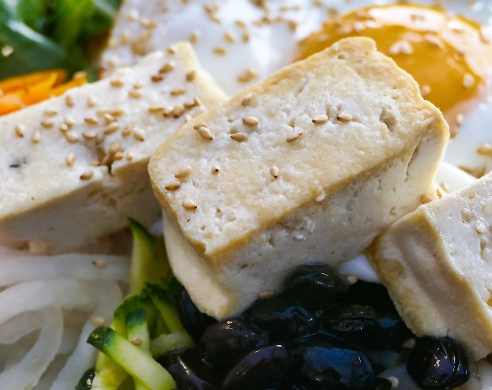 두부 효능 제대로 알기! 건강한 섭취법