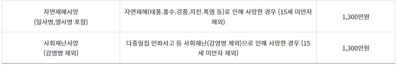 부산시 시민안전보험