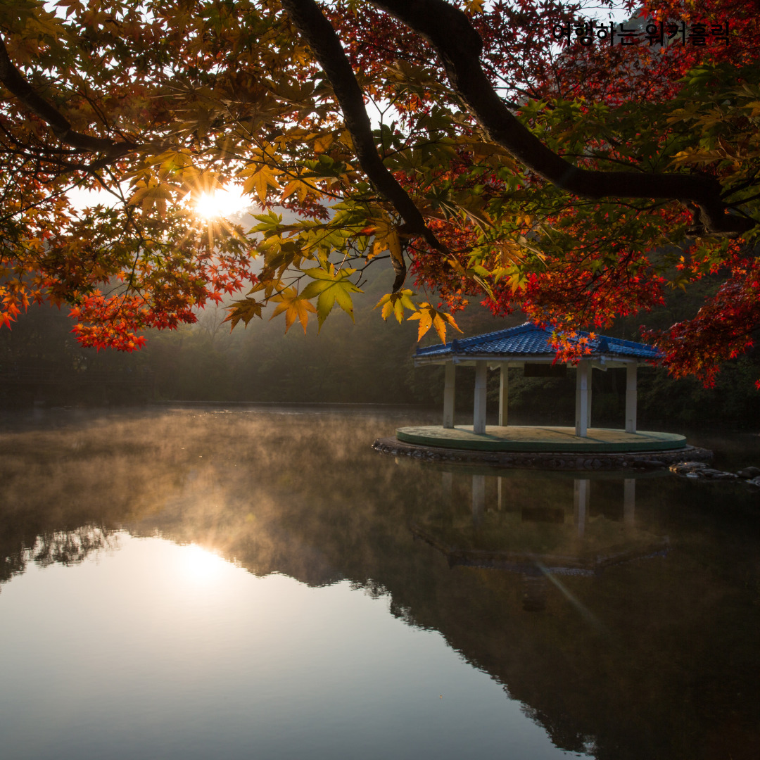 내장산 국립공원