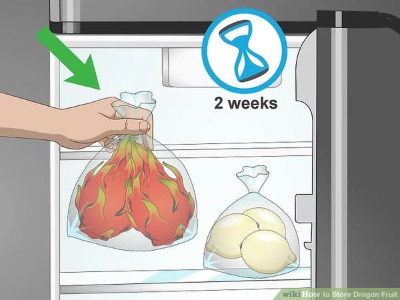 용과 보관 방법1