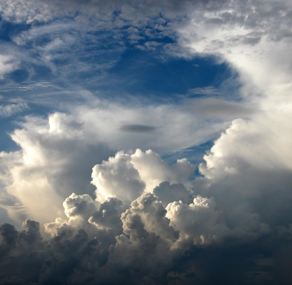 백운산의 자연경관 사진