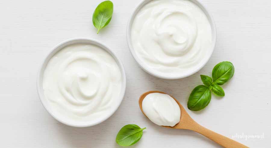 그릭 요거트란?