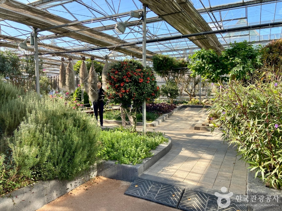 안산 가볼만한곳 베스트10