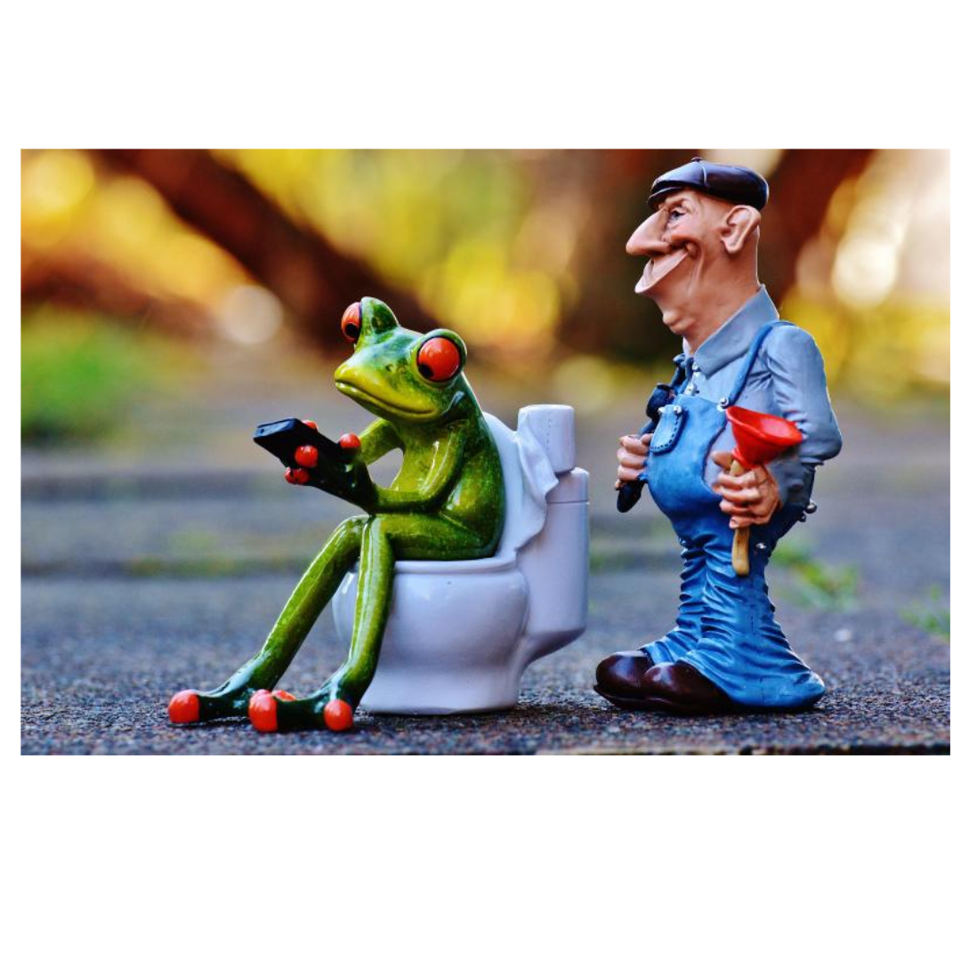 변비와 관련된 사진입니다.