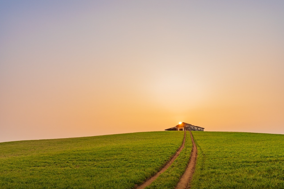 6시내고향 충남 보령 벼루 오이 주꾸미 축제 청보리밭 관련 정보