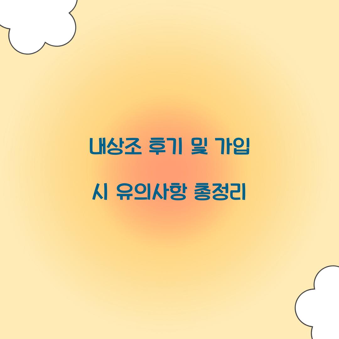 내상조 후기