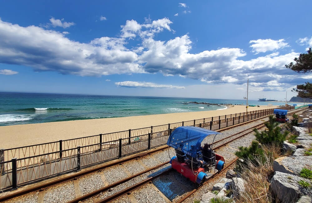 레일바이크 청도 정선 정동진 곡성