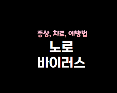 노로바이러스