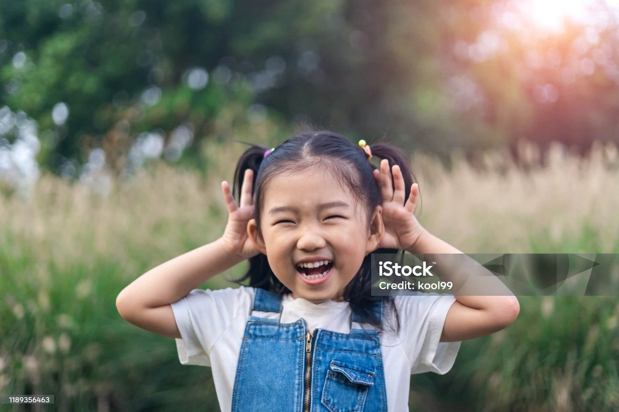 이명 치료의 새로운 패러다임: 신경가소성을 활용한 혁신적 방법