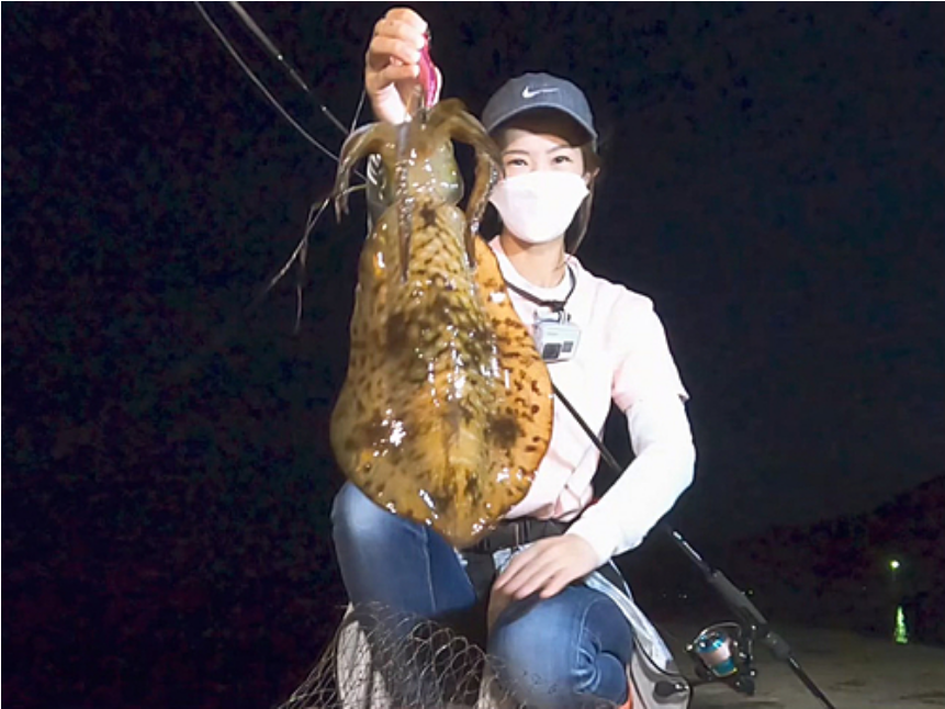 무늬오징어 시즌·포인트별 낚시 철 완벽 가이드