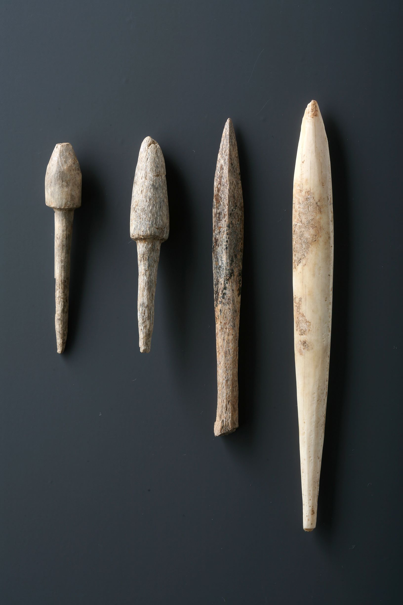 동삼동 패총 전시관