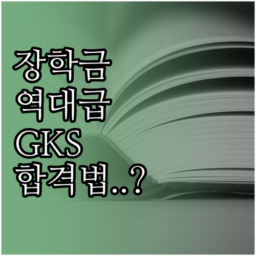 국립국제교육원 이용 방법 및 TOPI..