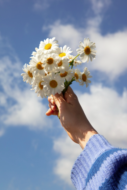 2024 양재 플라워 페스타 존별 안내