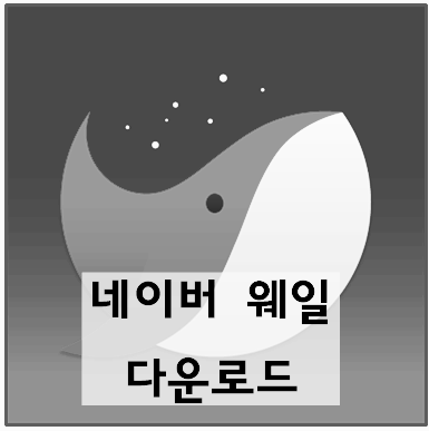 λ€μ΄λ² μ¨μΌ λ€μ΄λ‘λ