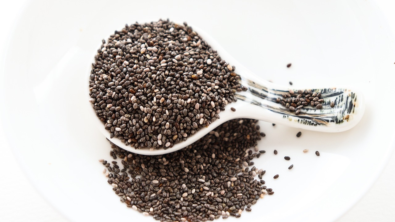 치아씨드(Chia Seed) 재배 방법