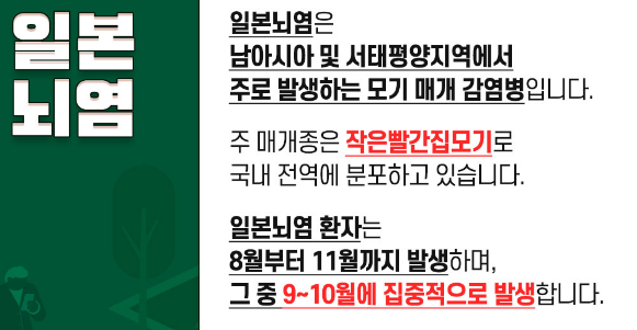 일본뇌염 설명