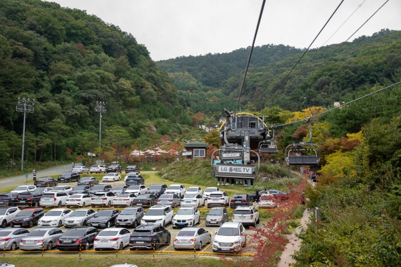 화담숲 유모차&middot;휠체어 이용 가능할까? 편의시설 체크