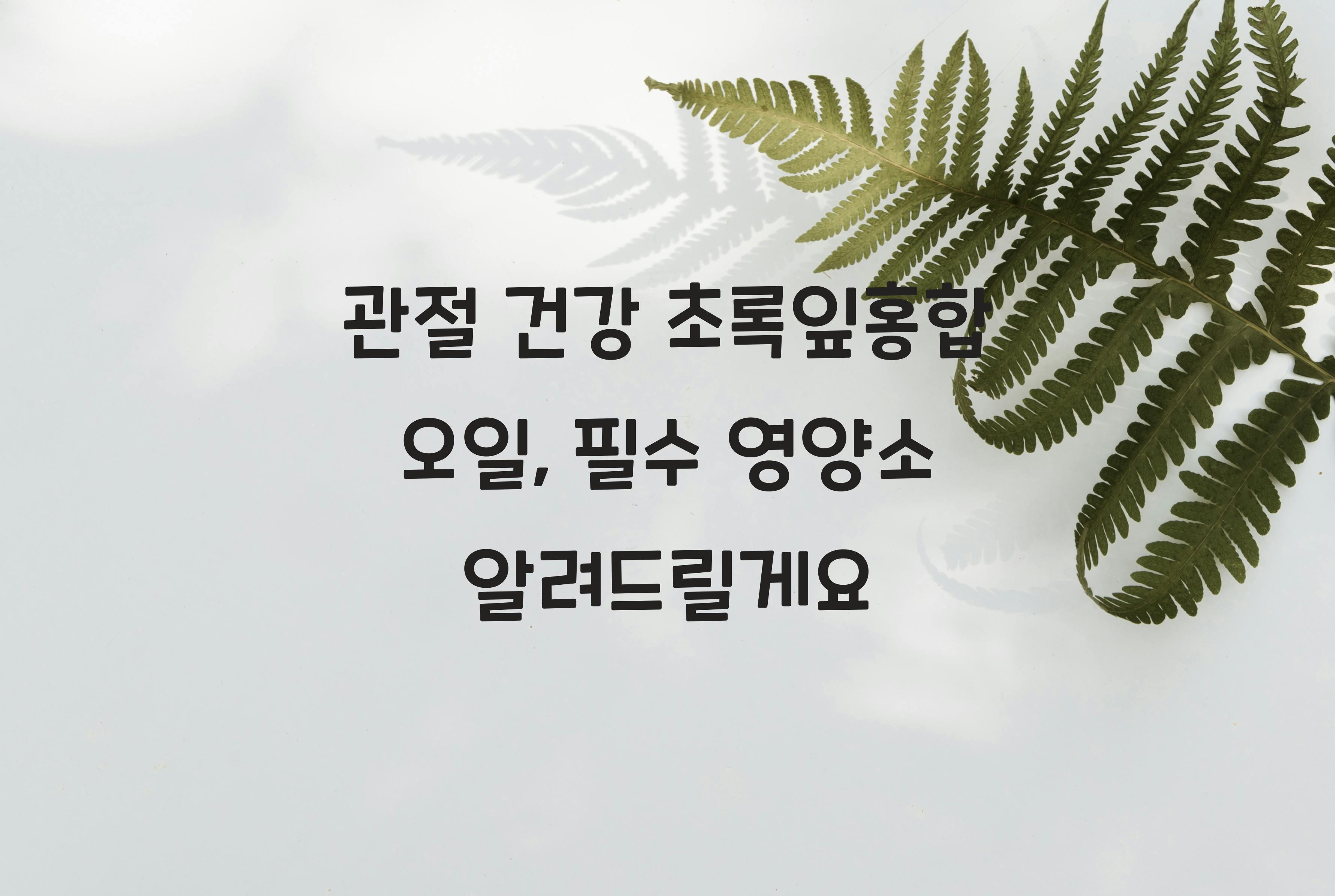 관절 건강 초록잎홍합 오일