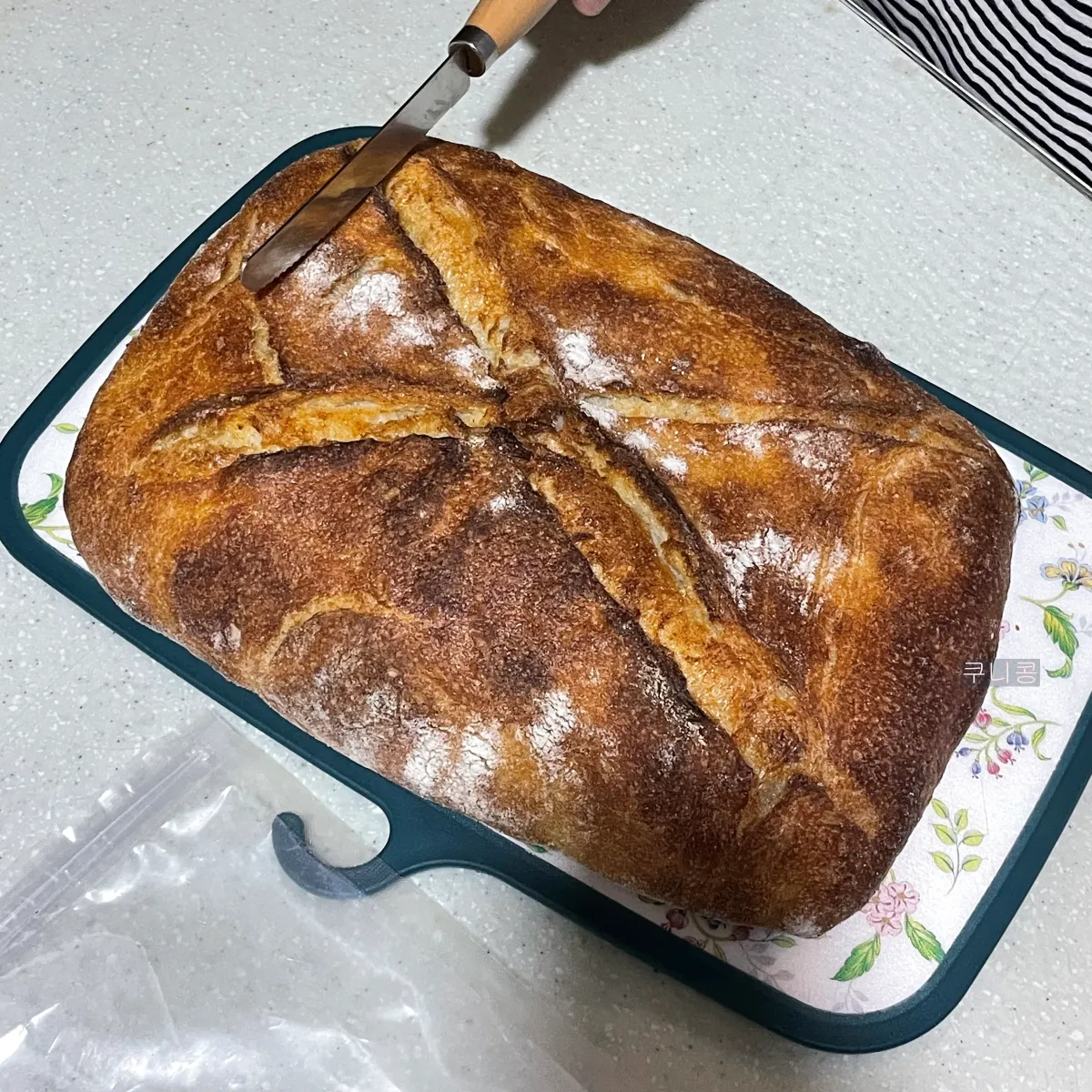 마켓컬리-추천템!-타르틴-슬랩-컨트리-빵-솔직-비교-주문꿀팁