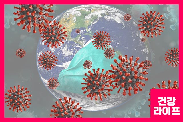 신화 속 말과 사람이 반반 섞인 켄타우로스 비유 BA.2 및 BA.5 특징을 모두 가지고 있다