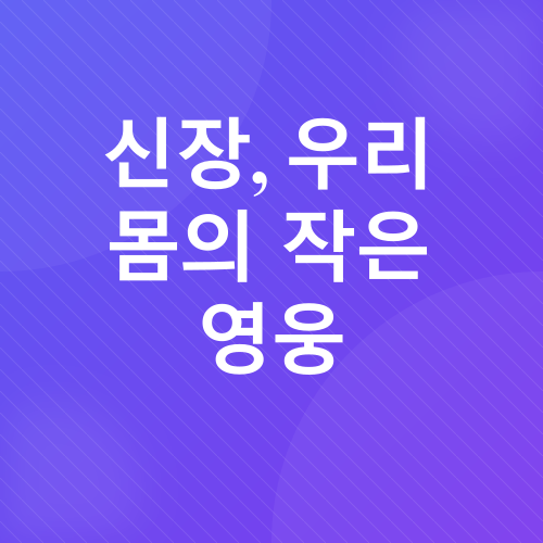 신장 건강_1