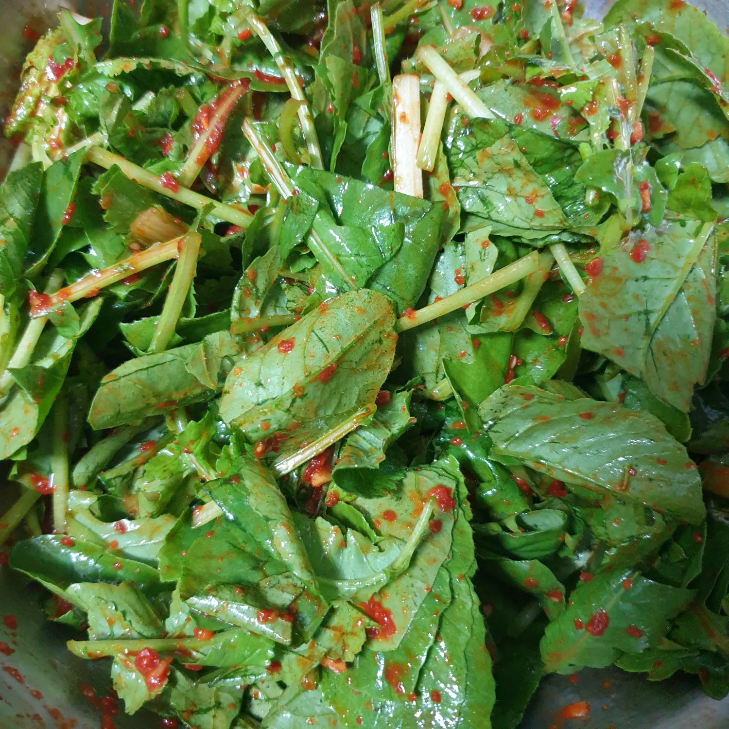 열무 심는 시기 재배 방법_6