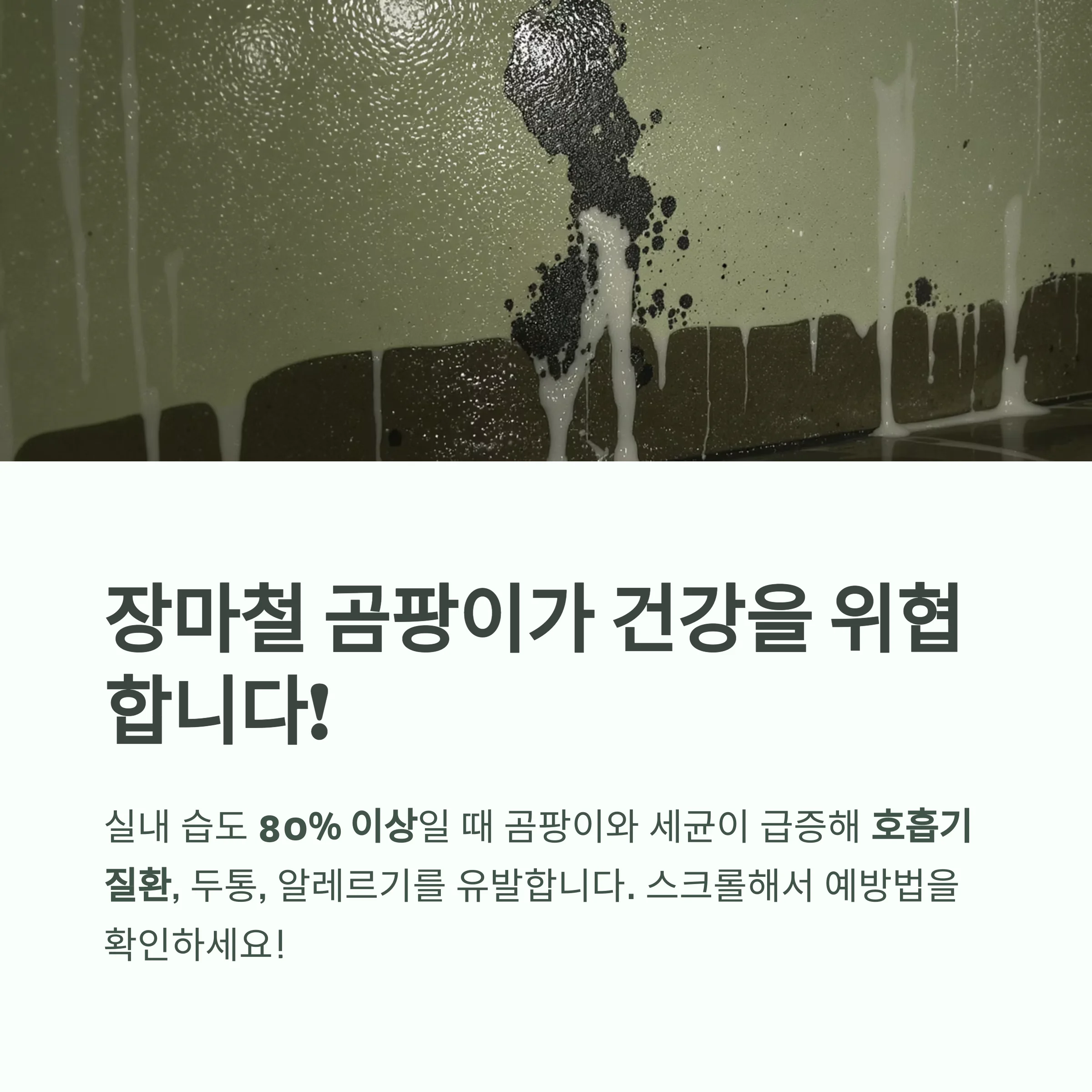 장마철 곰팡이 완전 제거법