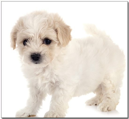 ์๊ธฐ ๋น์ํ๋ฆฌ์ 