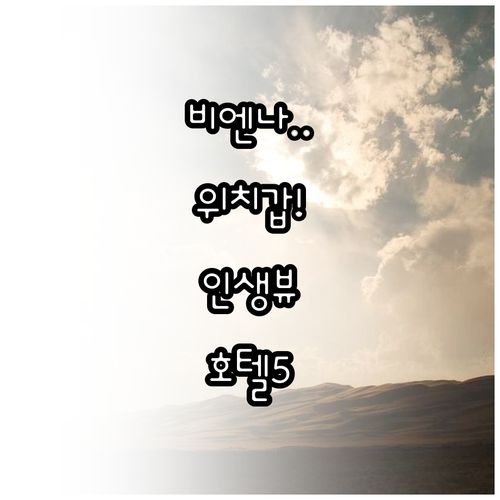 비엔나 숙소 추천 위치 좋고 뷰가 예..