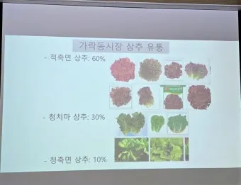 파종 도구 선택 파종기 호미 삽 흙손 사용 팁_23