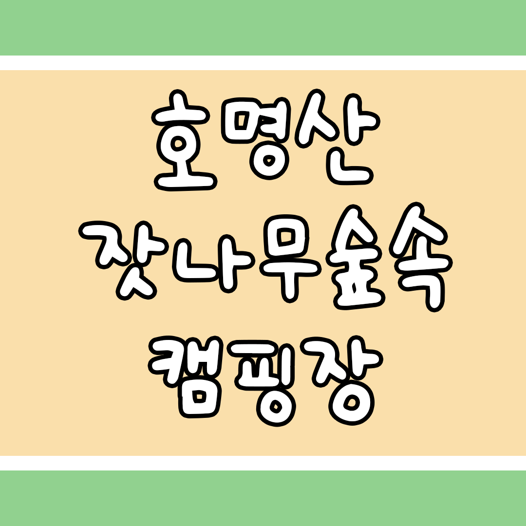 타이틀