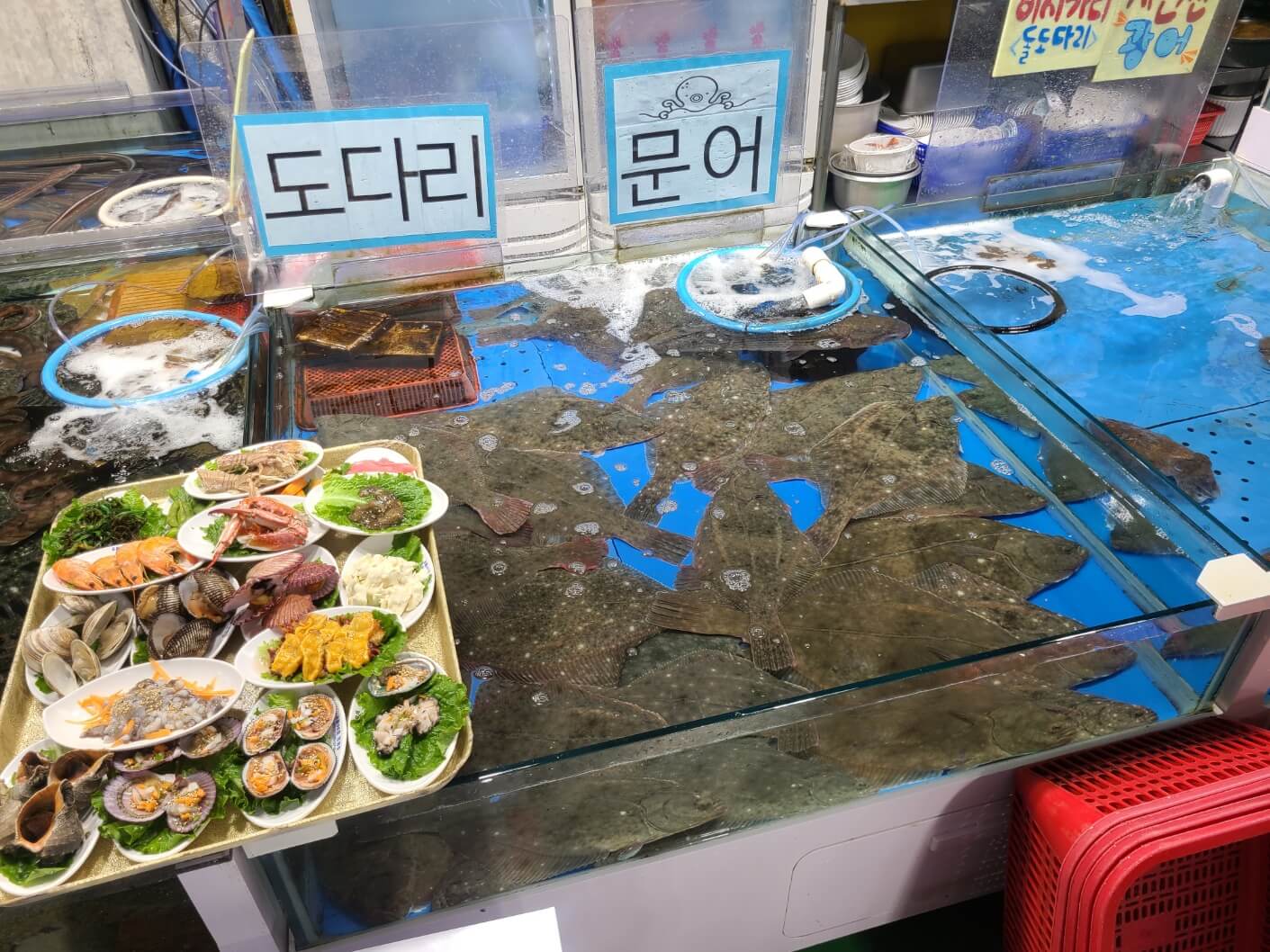 경기도 가볼 만한 곳 궁평항 민성호