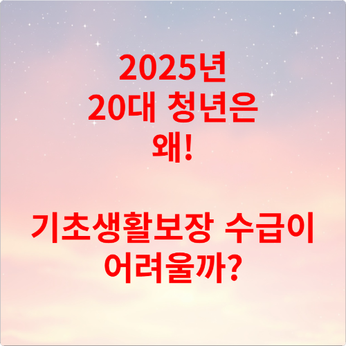 2025년 20대 청년은 왜 기초생활보장 수급이 어려울까