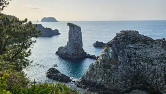 제주 서귀포 카페 추천 디저트 맛집과 뷰 맛집 정리_8