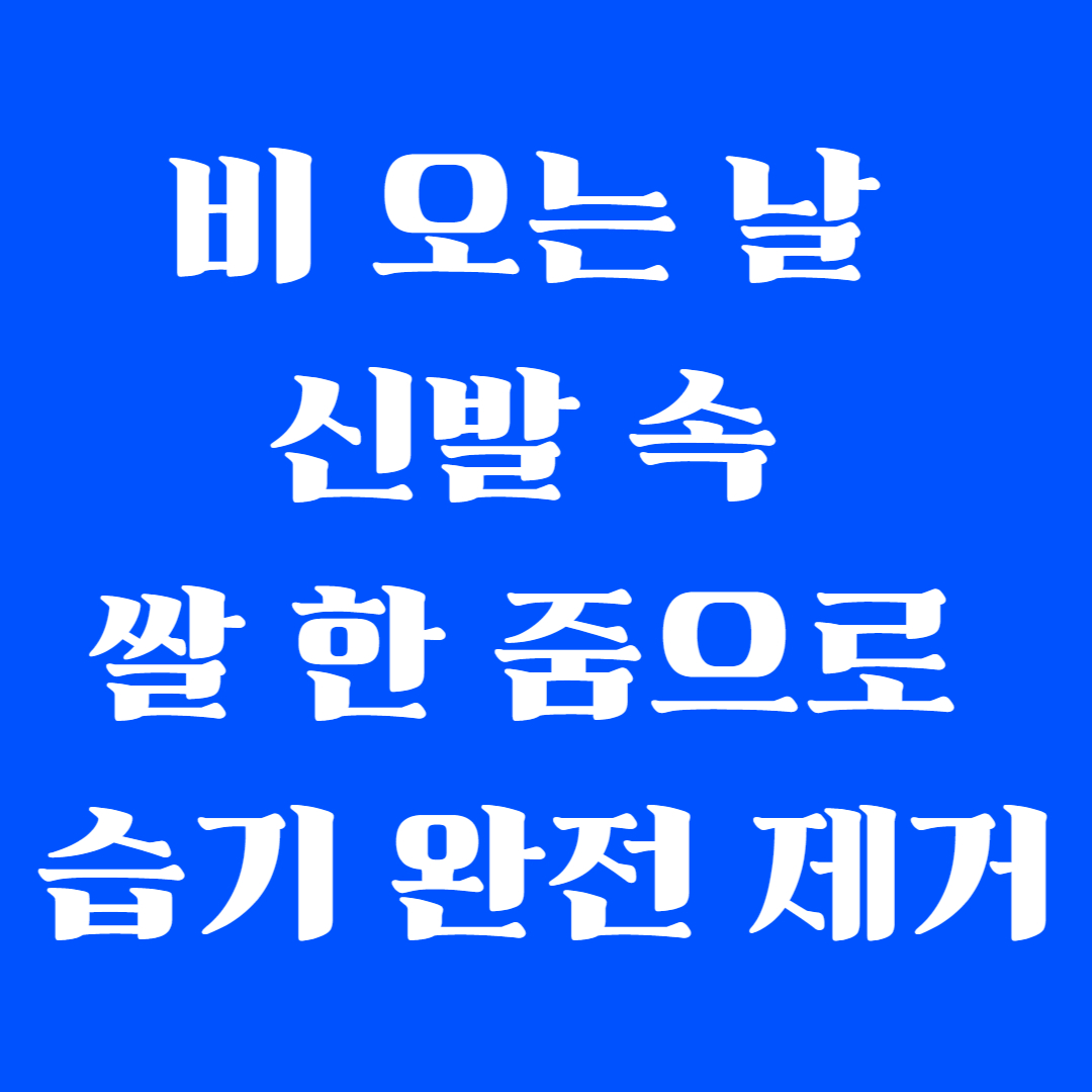 비 오는 날 신발 속 쌀 한 줌으로 습기 완전 제거