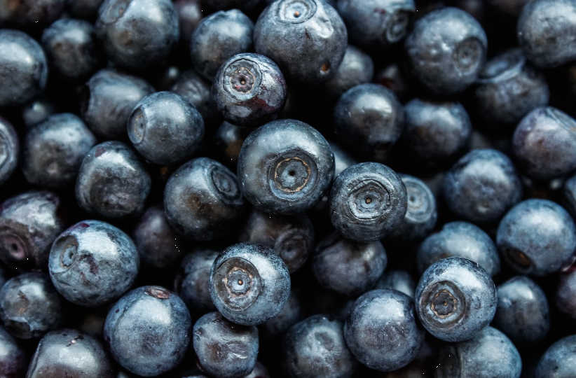 냉동 블루베리사진