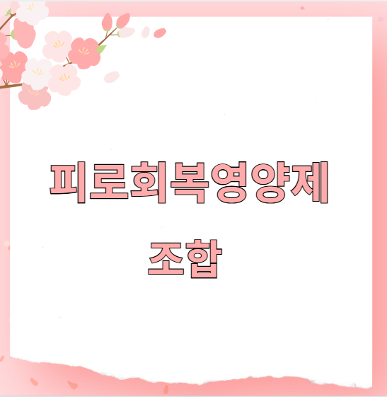 피로회복영양제 조합