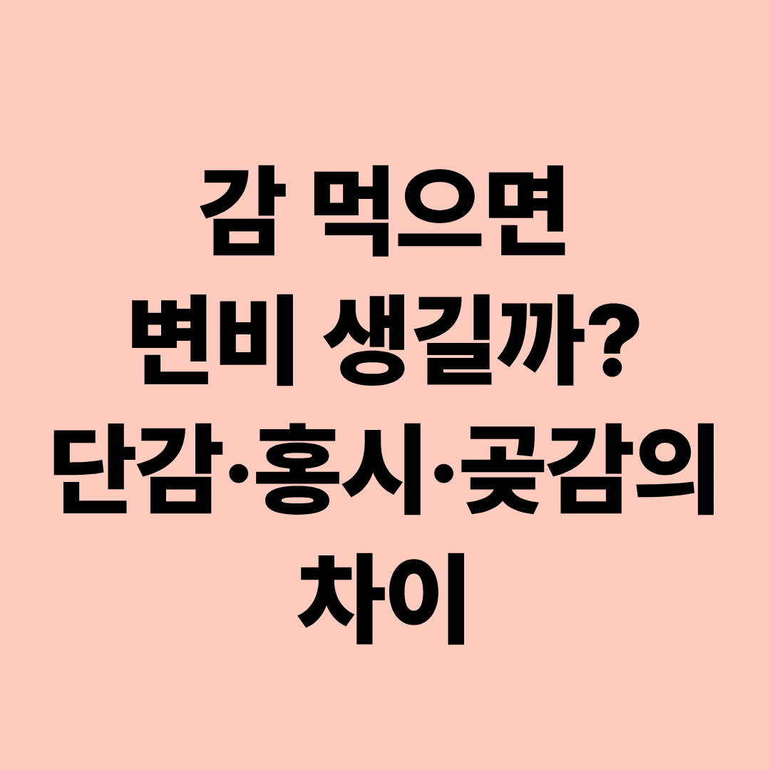 감 먹으면 정말 변비가 생길까?|단감·홍시·곶감 차이와 건강하게 먹는 법