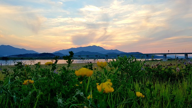 구미시 볼거리, 먹거리 사진