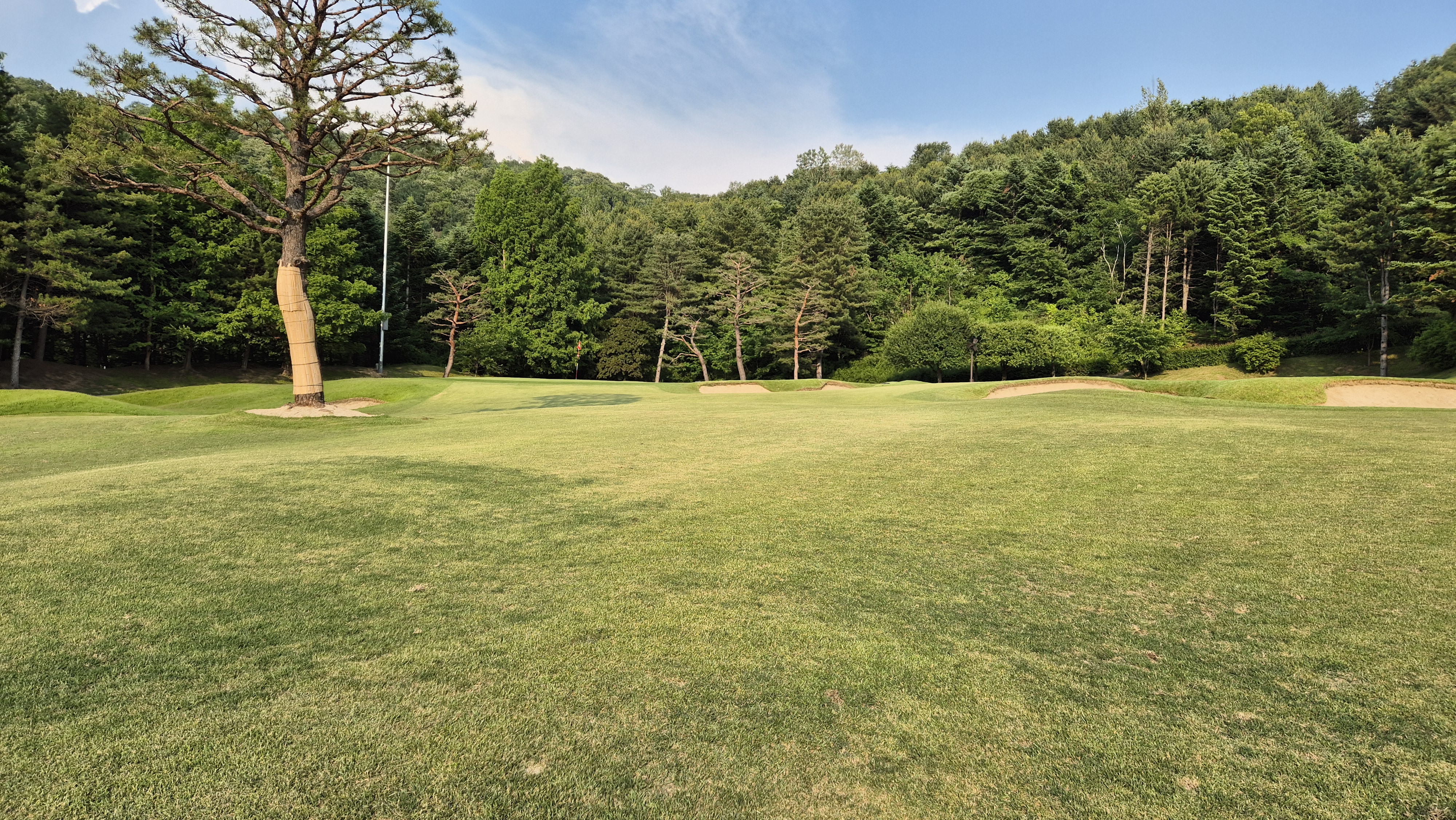 이포cc 라운드 후기