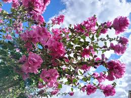 화장실 냄새 제거 완벽 가이드: 원인부터 해결까지