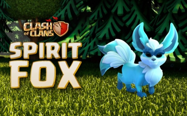 너무-예쁜-펫이-나왔습니다.