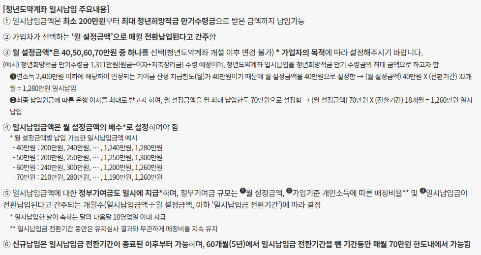 청년도약계좌-일시납입-정부기여금-설정법-공식페이지-설명글-캡처