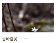 내가 가입한 카페 바로가기