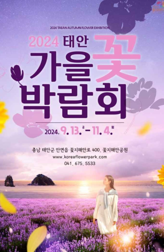 태안가을꽃축제1