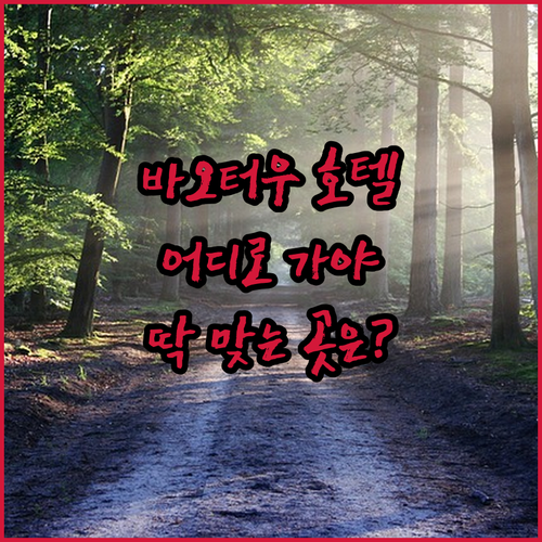 바오터우 호텔 어디로 가야 할까? 내..