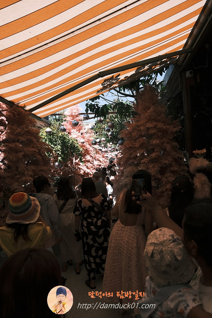 더 그라운즈 오브 알렉산드리아(The Grounds of Alexandria)