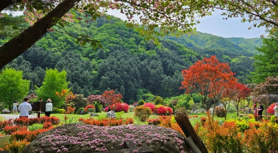 11월 국내여행지 추천 BEST 10